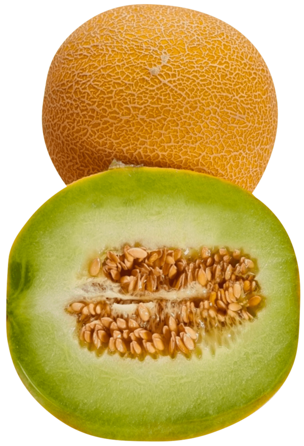 מלון ירוק גליה
