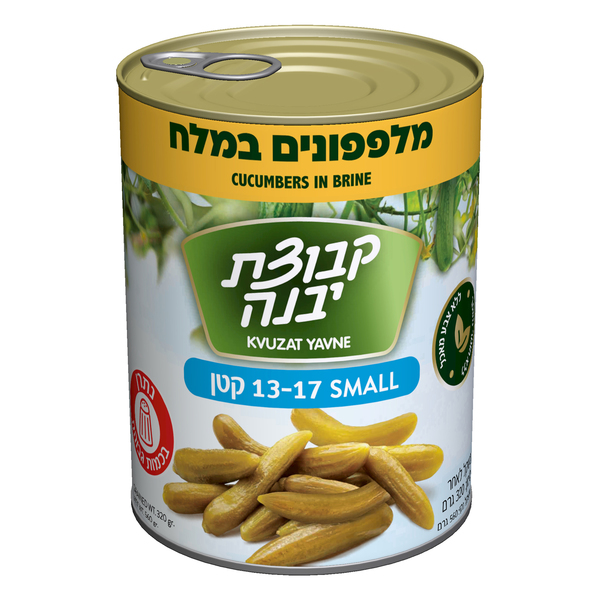 מלפפונים במלח 13-17 "קבוצת יבנה"