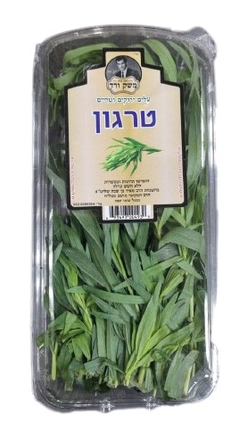 טרגון