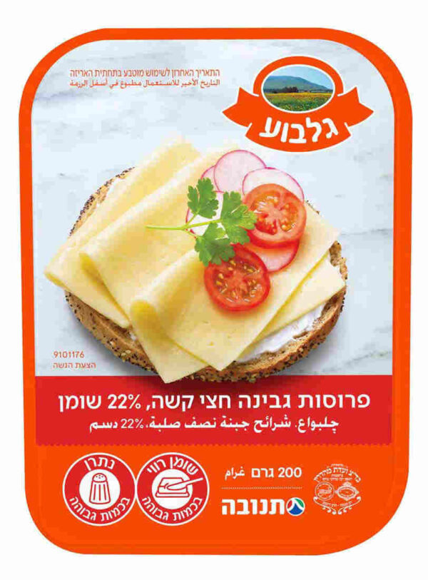גבינה צהובה גלבוע 22% שומן 200 גרם